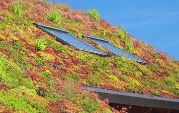 East Beckham living roof systems