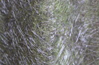 East Beckham fibreglass roof work